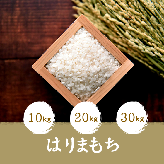 はりまもち
