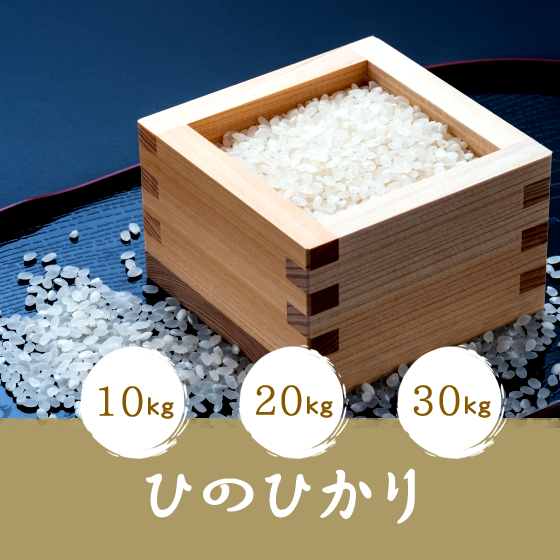 ひのひかり