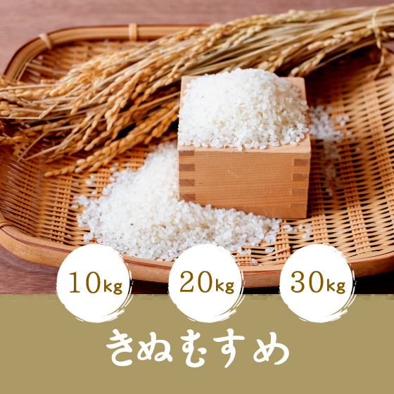きぬむすめ
