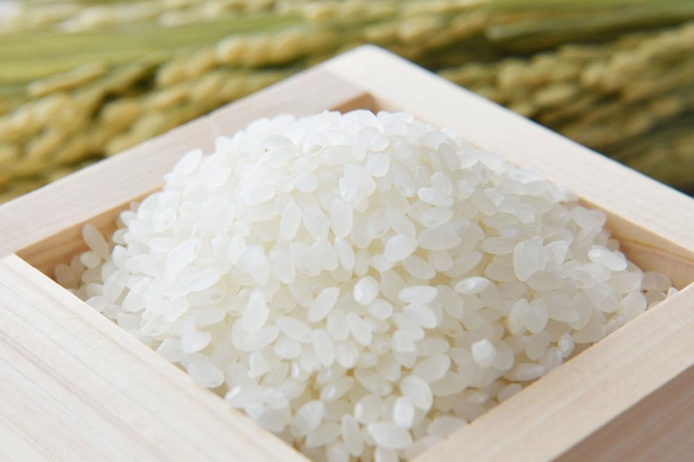 STEP3 玄米・精米